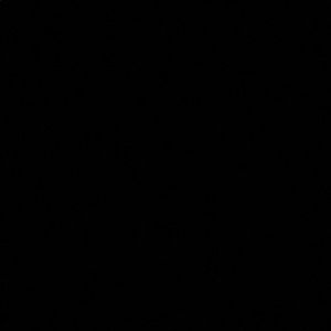 American eagle 🦅 button up shirt